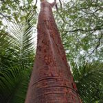 listing image thumbnail with ID 76078