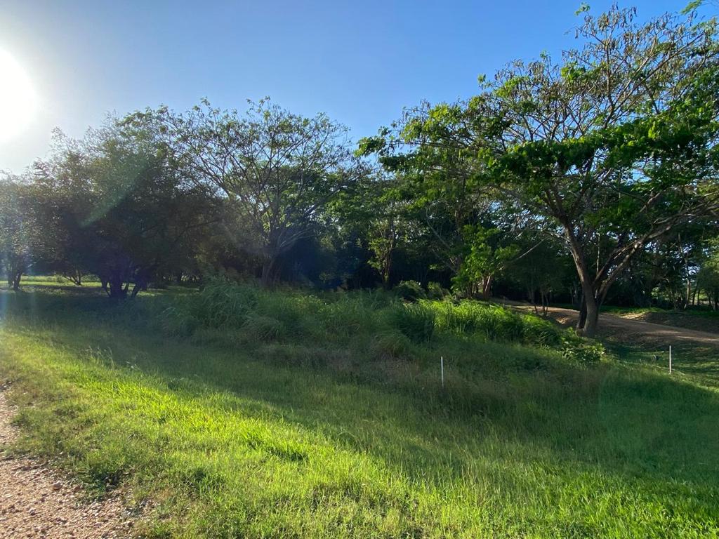 listing image with ID 109212