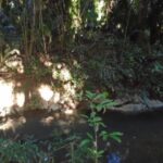 listing image thumbnail with ID 77023