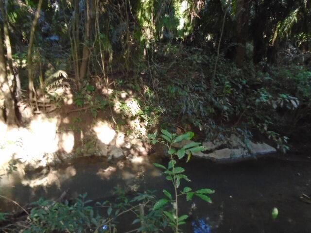 listing image with ID 77023
