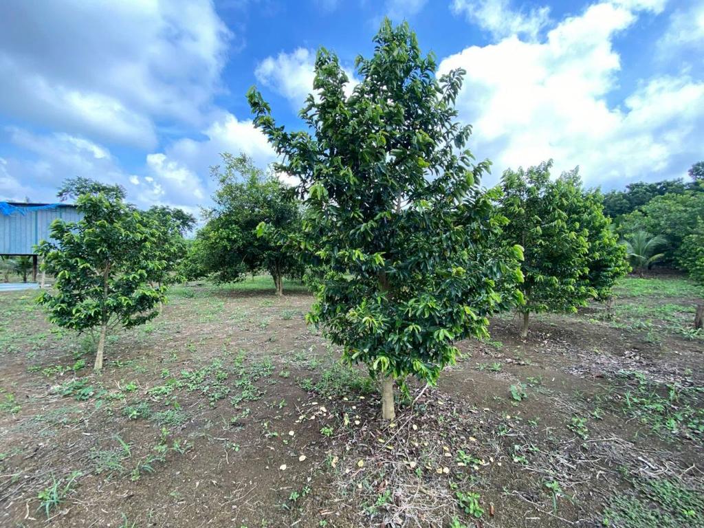listing image with ID 104714