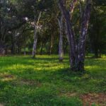 listing image thumbnail with ID 107737