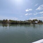 listing image thumbnail with ID 105207