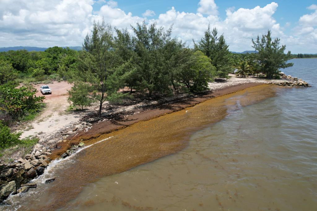 listing image with ID 94690