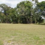 listing image thumbnail with ID 84657