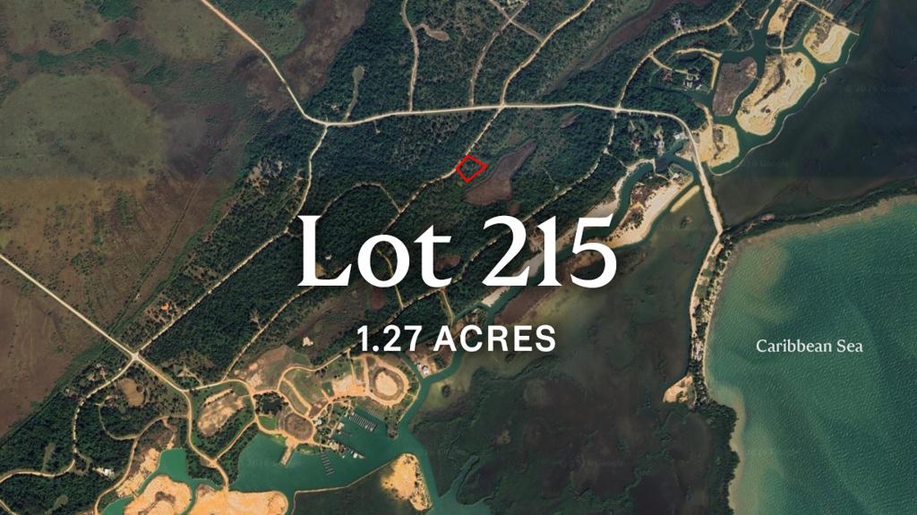 listing image with ID 93932