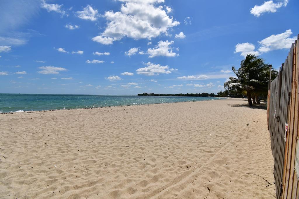 listing image with ID 82923