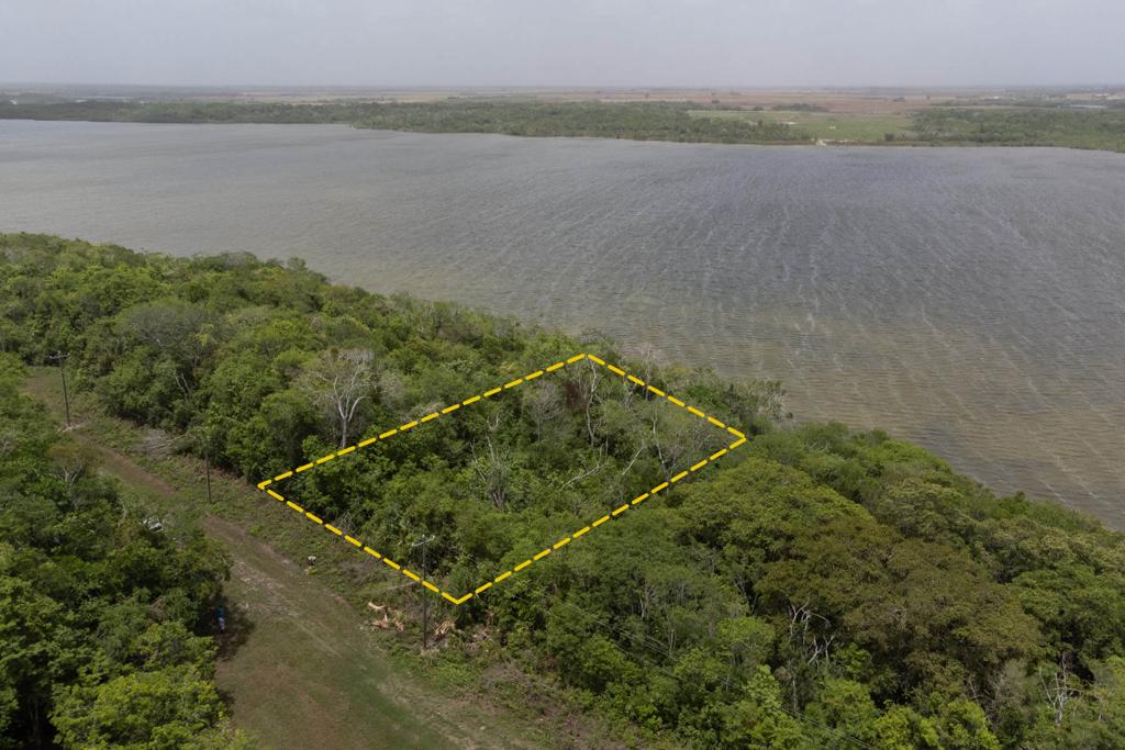 listing image with ID 97950