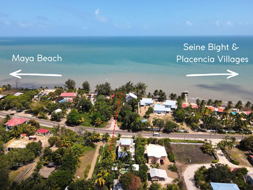 listing image with ID 95556