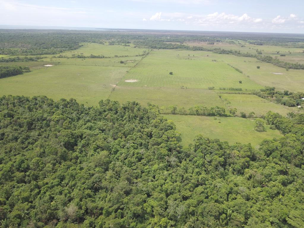 listing image with ID 77847