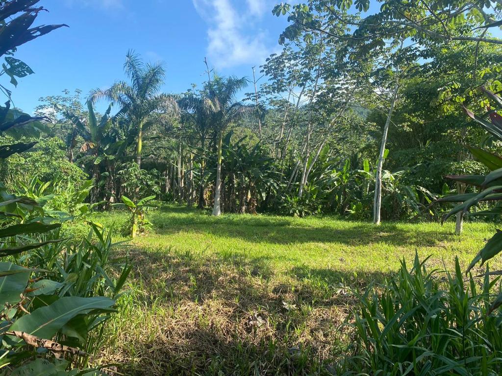 listing image with ID 97992