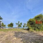 listing image thumbnail with ID 96569
