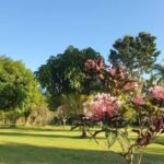 listing image thumbnail with ID 105393