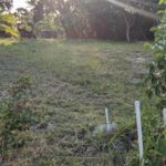listing image thumbnail with ID 83328