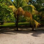 listing image thumbnail with ID 80517