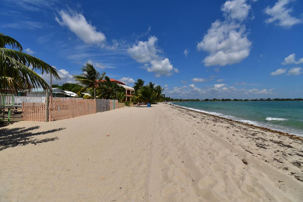 listing image with ID 82912