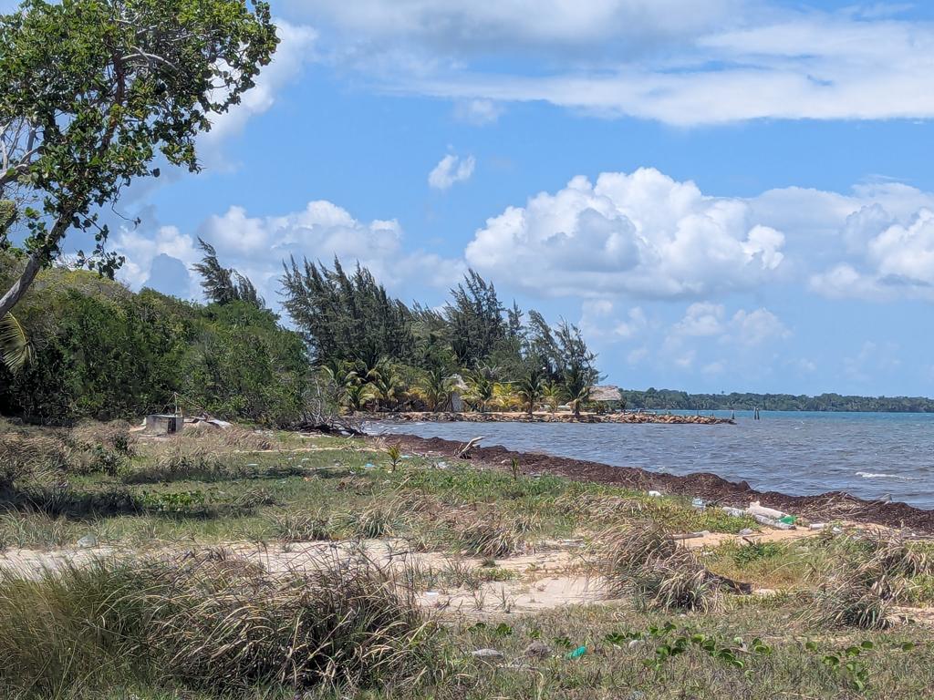 listing image with ID 77295