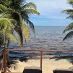 listing image thumbnail with ID 95887