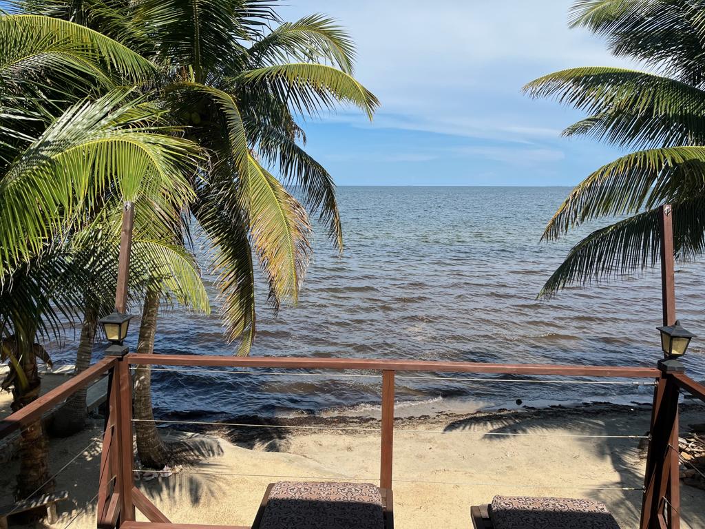 listing image with ID 95887