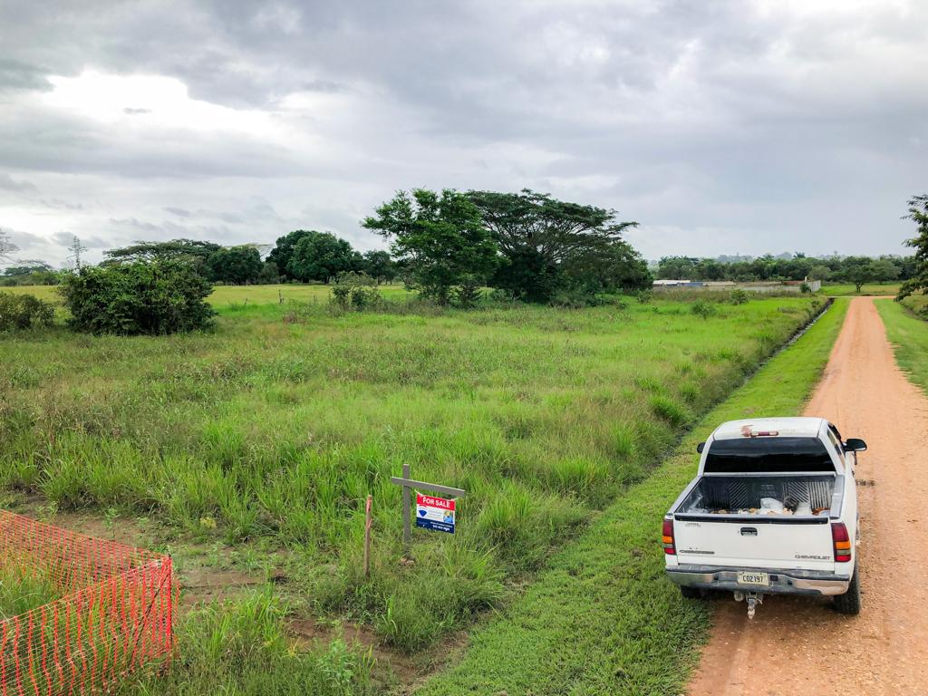 listing image with ID 95281