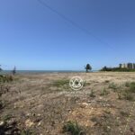 listing image thumbnail with ID 94724