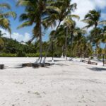 listing image thumbnail with ID 95457