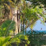 listing image thumbnail with ID 91486