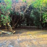 listing image thumbnail with ID 87759