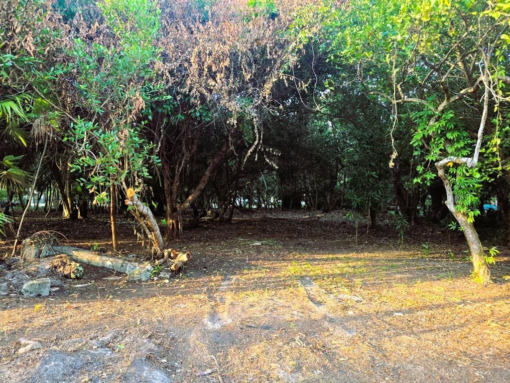 listing image with ID 87759