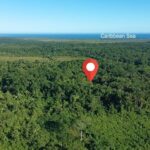 listing image thumbnail with ID 98361