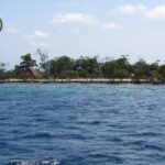 listing image thumbnail with ID 82448