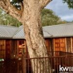 listing image thumbnail with ID 92018
