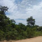 listing image thumbnail with ID 105841