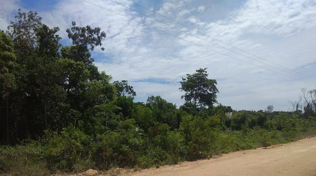 listing image with ID 105841