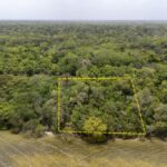 listing image thumbnail with ID 97953
