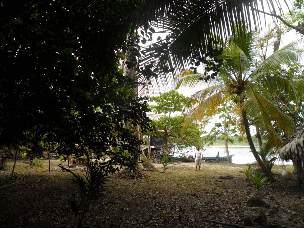 listing image with ID 82848