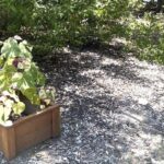 listing image thumbnail with ID 101598