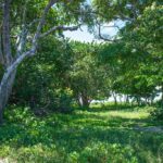 listing image thumbnail with ID 93567