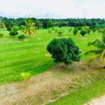 listing image thumbnail with ID 108172