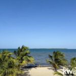 listing image thumbnail with ID 92797