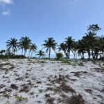 listing image thumbnail with ID 100244