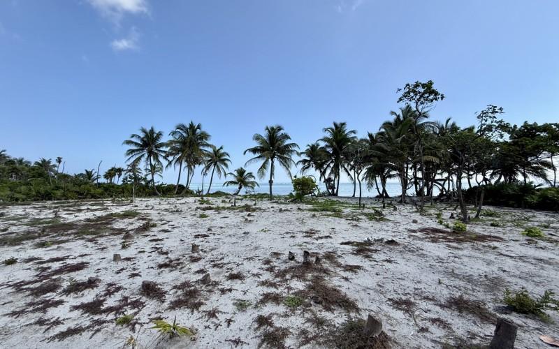 listing image with ID 100244