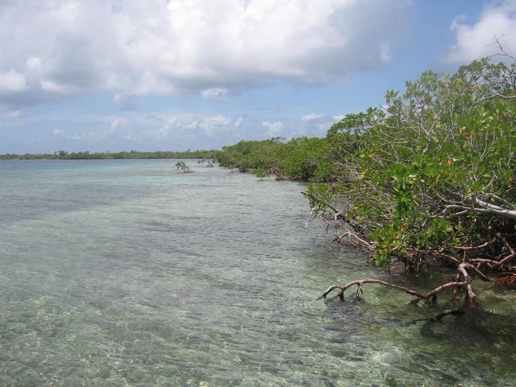 listing image with ID 76953