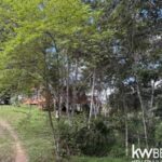 listing image thumbnail with ID 84446
