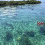 listing image thumbnail with ID 86009