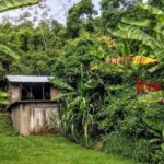 listing image thumbnail with ID 93960