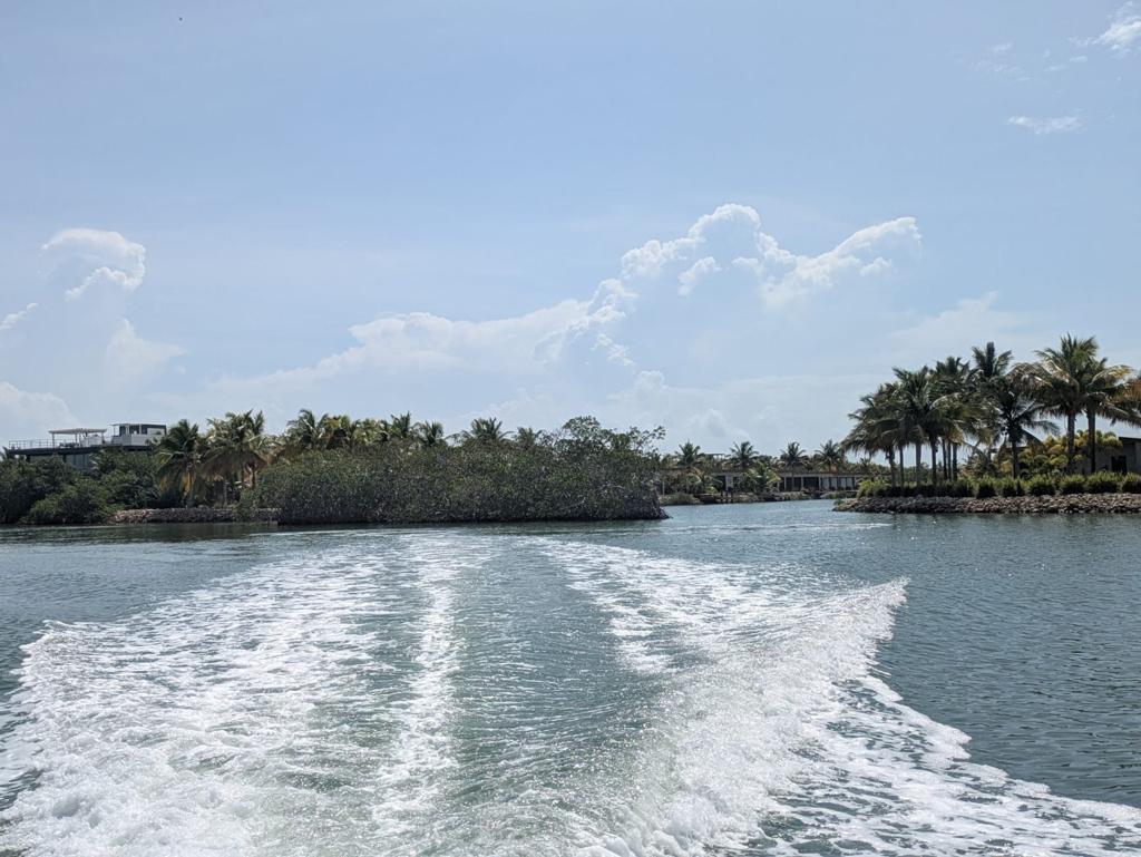 listing image with ID 79341