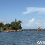 listing image thumbnail with ID 91405