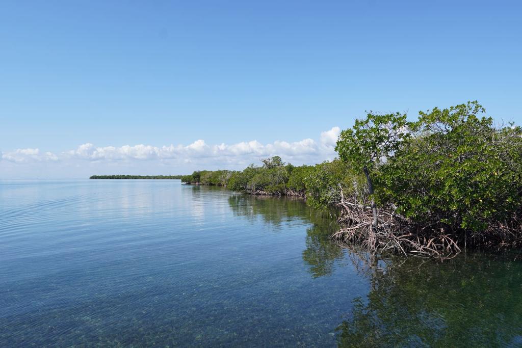 listing image with ID 95976