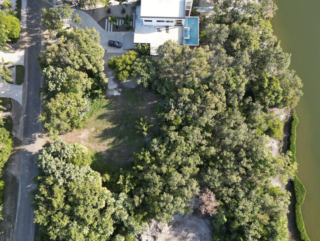 listing image with ID 102411